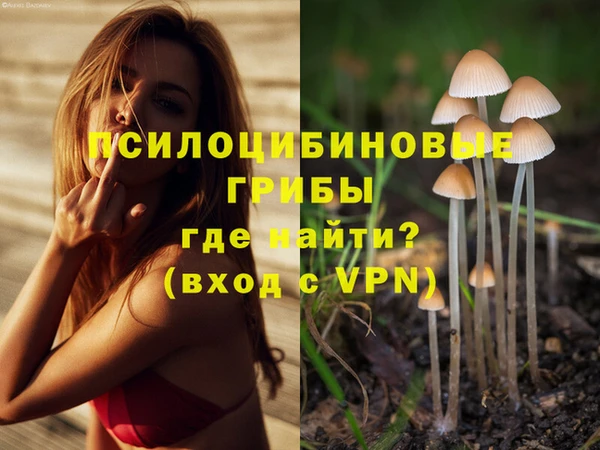СК Верхний Тагил