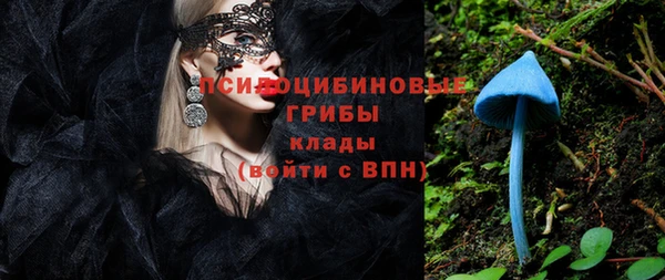 СК Верхний Тагил