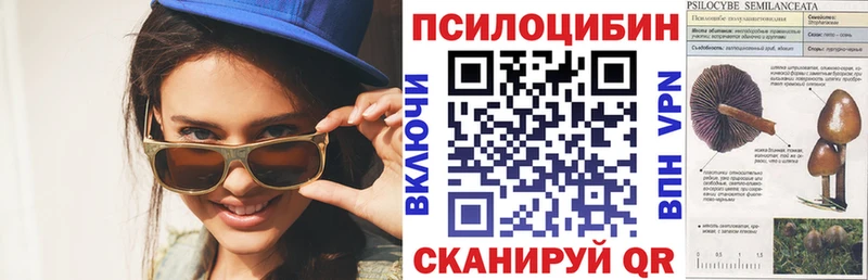 Купить закладки  Тогучин  Галлюциногенные грибы прущие грибы 